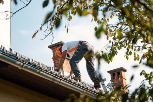 Best Residential Roofing Contractor  in Osakis, MN